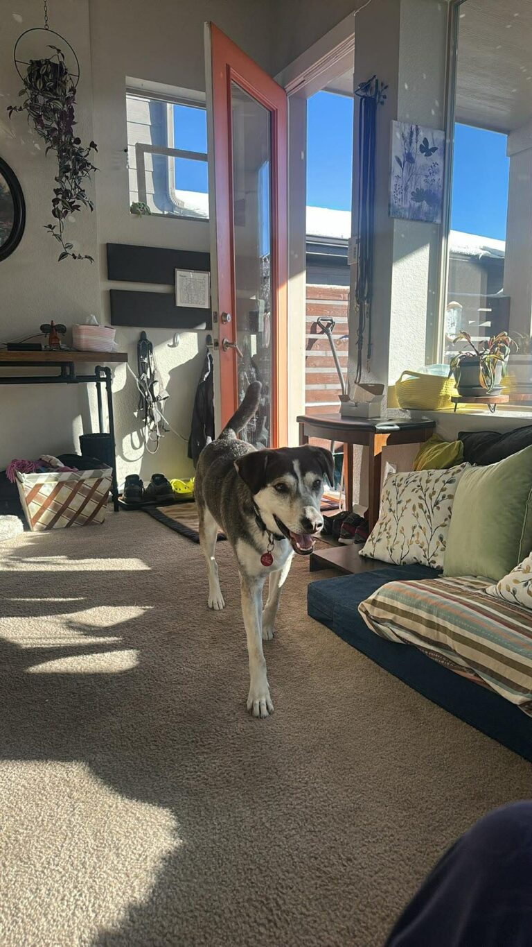 att.LIlEULfGKUEndvYNkMqsMw-VY26DURF6SQpd7N6Klb8