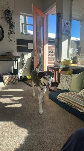 att.LIlEULfGKUEndvYNkMqsMw-VY26DURF6SQpd7N6Klb8